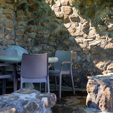 Strelitzia Cottage Cape Town Ngoại thất bức ảnh