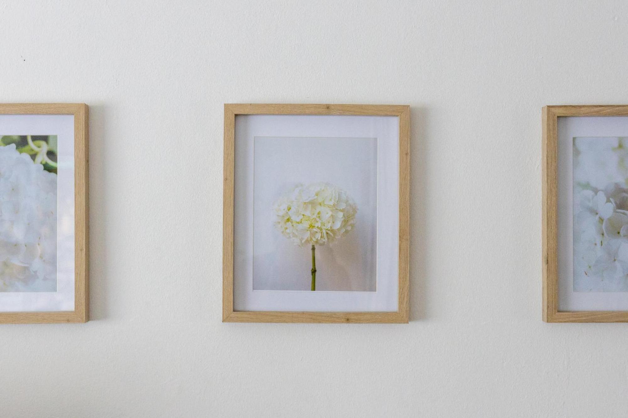 Strelitzia Cottage Cape Town Ngoại thất bức ảnh