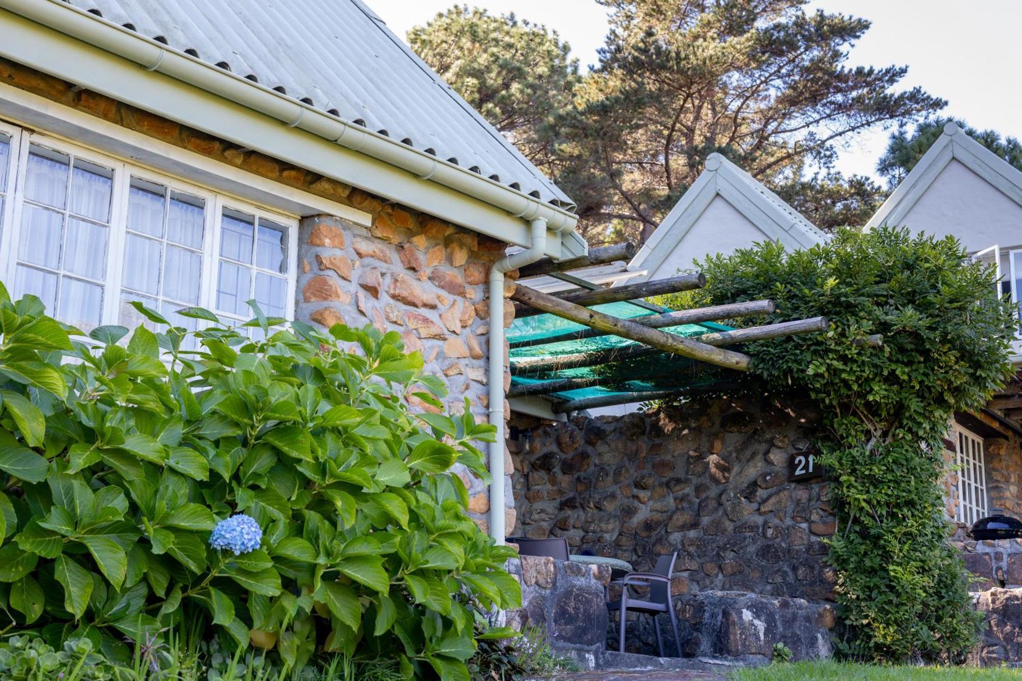 Strelitzia Cottage Cape Town Ngoại thất bức ảnh