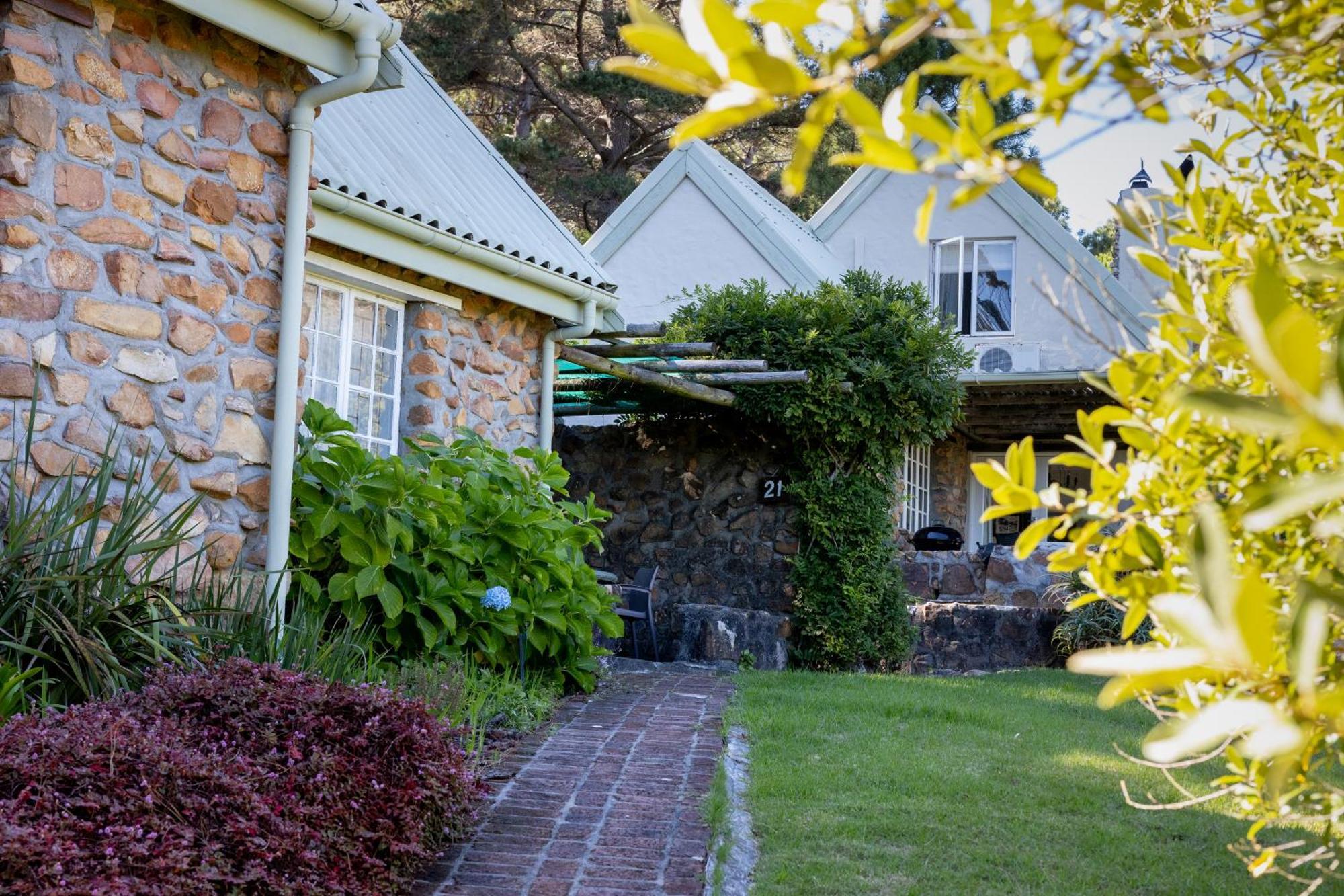 Strelitzia Cottage Cape Town Ngoại thất bức ảnh